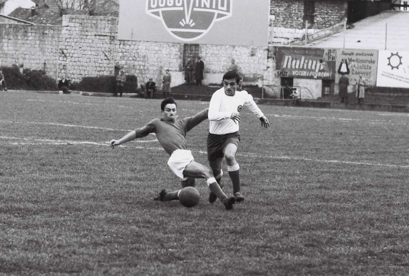 Andrija Anković